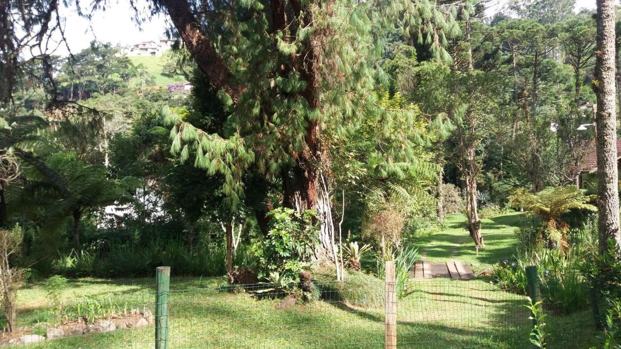 הוילה בוקאינה דה מינאס Chale Honeycomb Em Visconde De Maua מראה חיצוני תמונה